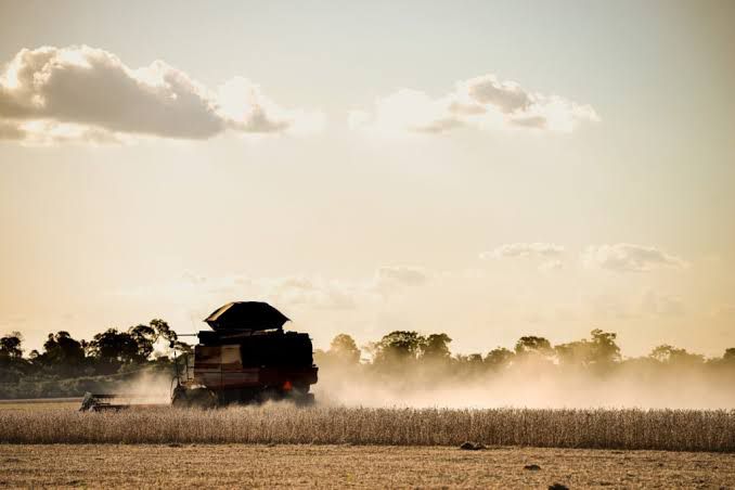 Agronegócio brasileiro atinge 71 bilhões de reais no ano
